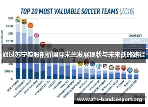 通过苏宁控股剖析国际米兰发展现状与未来战略路径