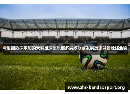 深度细致探索加的夫城足球俱乐部多层级联赛发展历史背景脉络全貌