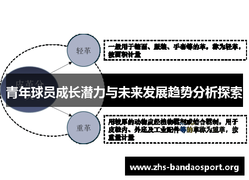 青年球员成长潜力与未来发展趋势分析探索